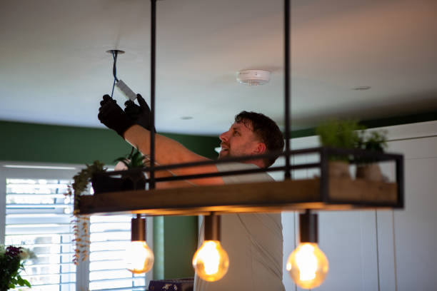 Best Electric Panel Repair  in Lake Station, IN